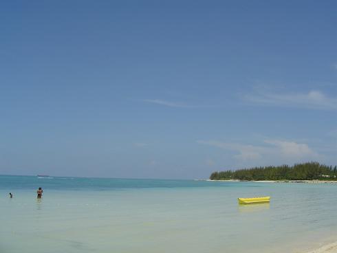 dsc00528.jpg