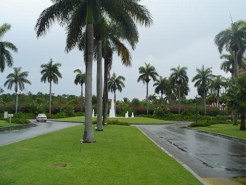 dsc00587.jpg