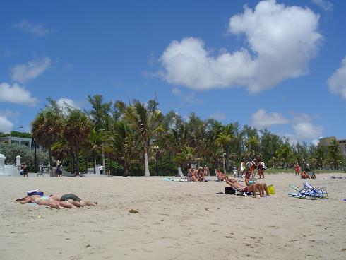 dsc00769.jpg