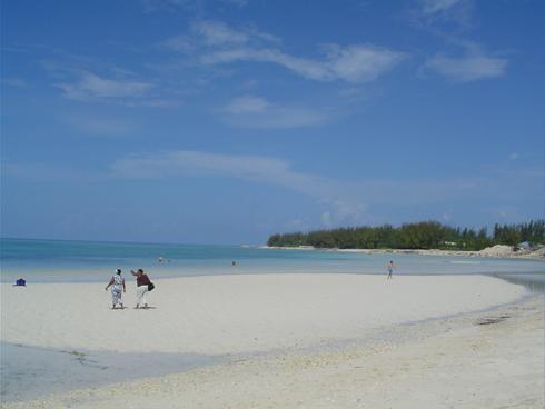 dsc00852.jpg